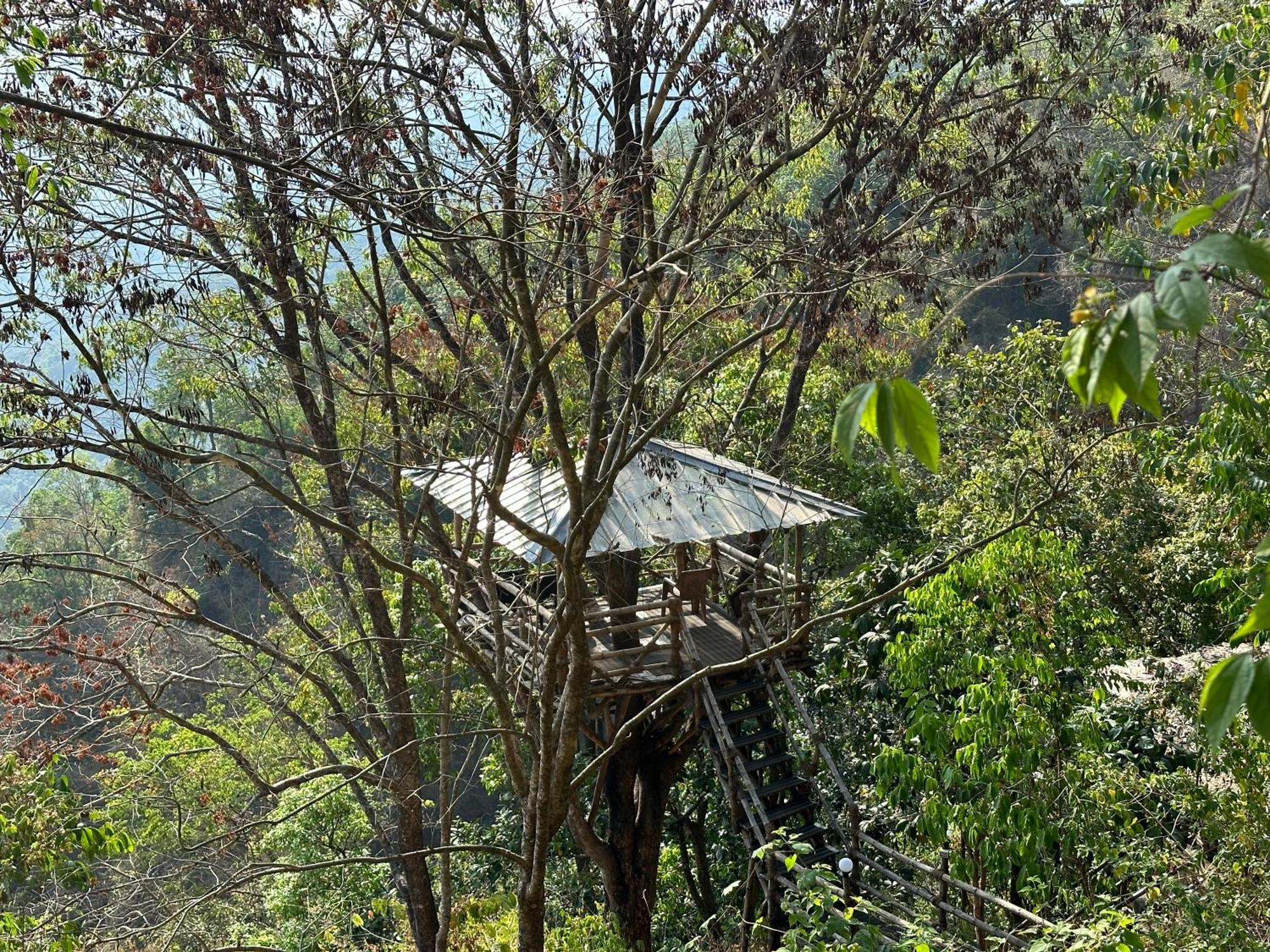 Sunset Valley Kerala Pool Resort - Serene Natural Forest Cottage Stay In Idukki With Sunrise & Sunset Panoramas, Natural Streams & Tranquil Summer Evenings Pīrmed Exterior foto