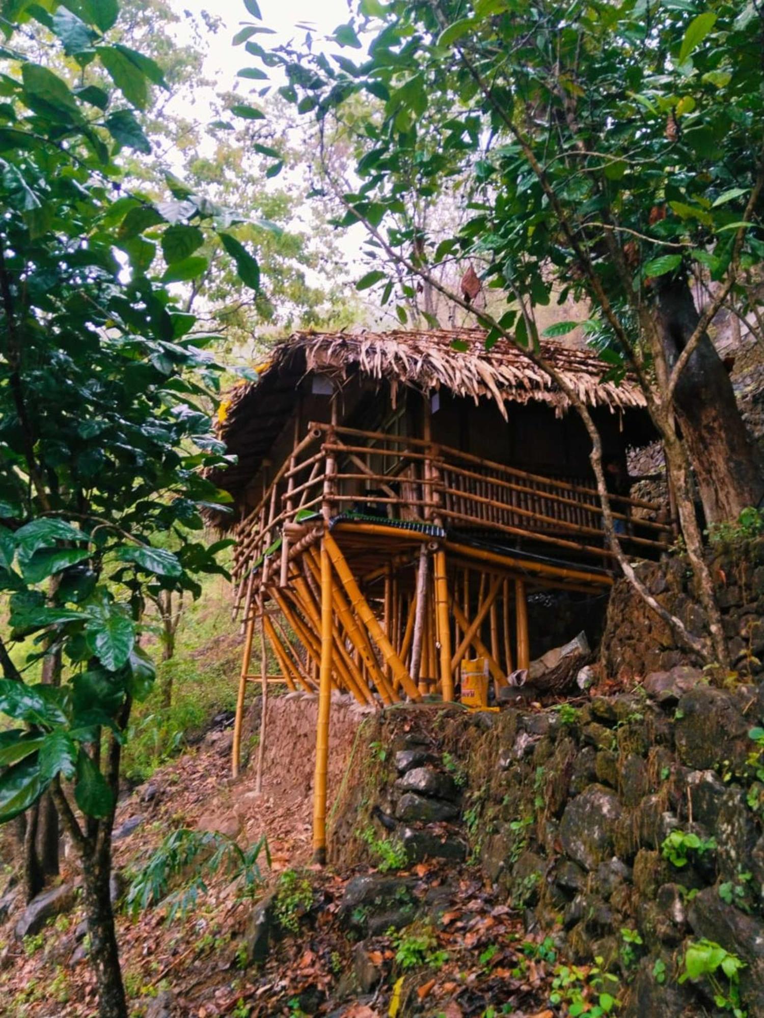 Sunset Valley Kerala Pool Resort - Serene Natural Forest Cottage Stay In Idukki With Sunrise & Sunset Panoramas, Natural Streams & Tranquil Summer Evenings Pīrmed Exterior foto